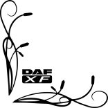 DAF XF  oldalüveg matrica