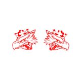 SCANIA matrica fülke oldalára