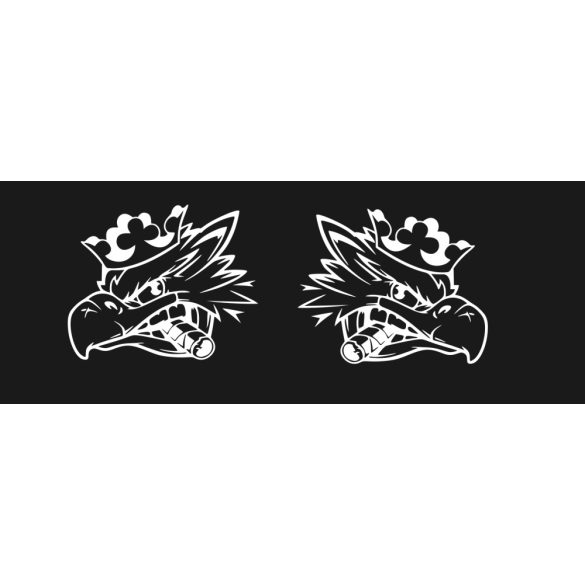 SCANIA matrica fülke oldalára